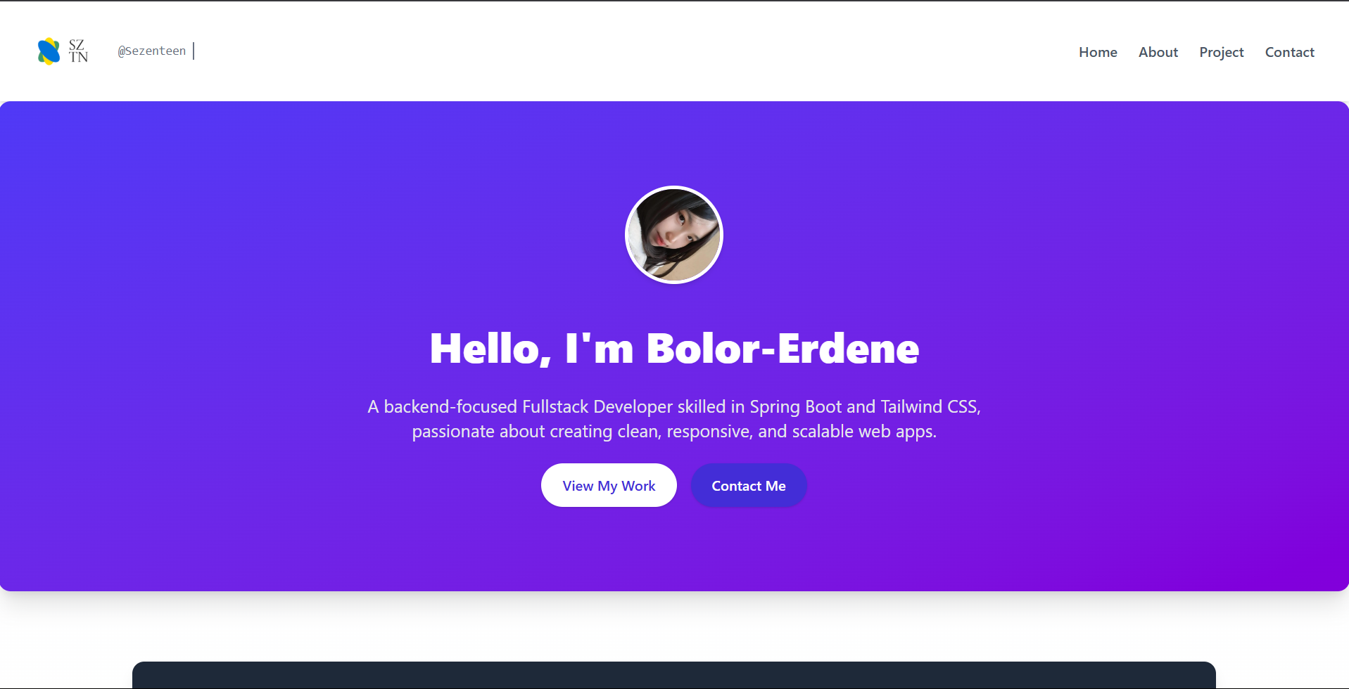 Portfolio Website Screenshot 1